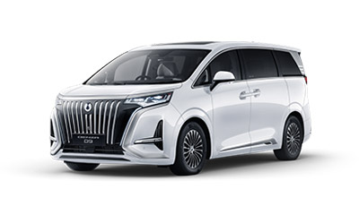 BYD Denza D9